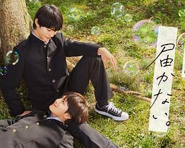 关于西门吹雪的海报剧照